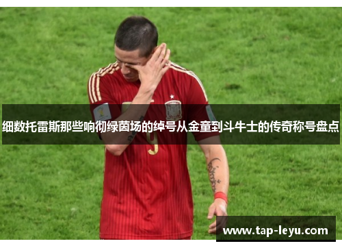 细数托雷斯那些响彻绿茵场的绰号从金童到斗牛士的传奇称号盘点