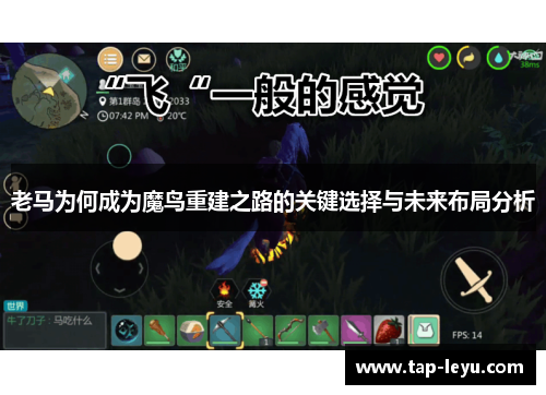 老马为何成为魔鸟重建之路的关键选择与未来布局分析