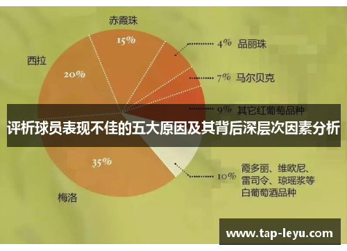 评析球员表现不佳的五大原因及其背后深层次因素分析